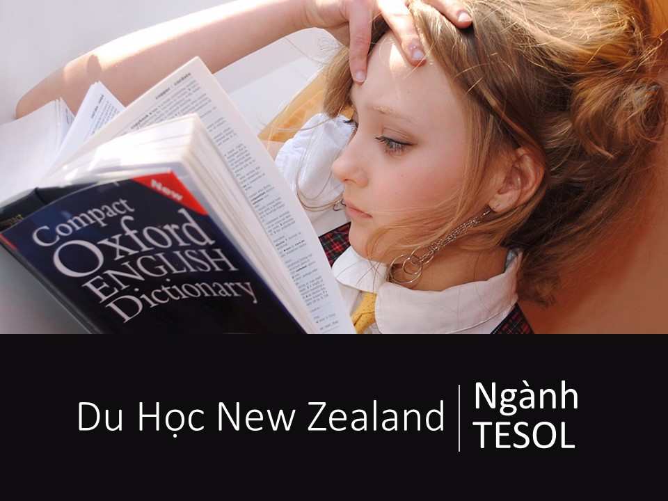 Ngành TESOL tại Edenz Colleges