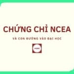 Chứng chỉ NCEA và con đường vào đại học tại New Zealand Chứng chỉ NCEA và con đường vào đại học tại New Zealand